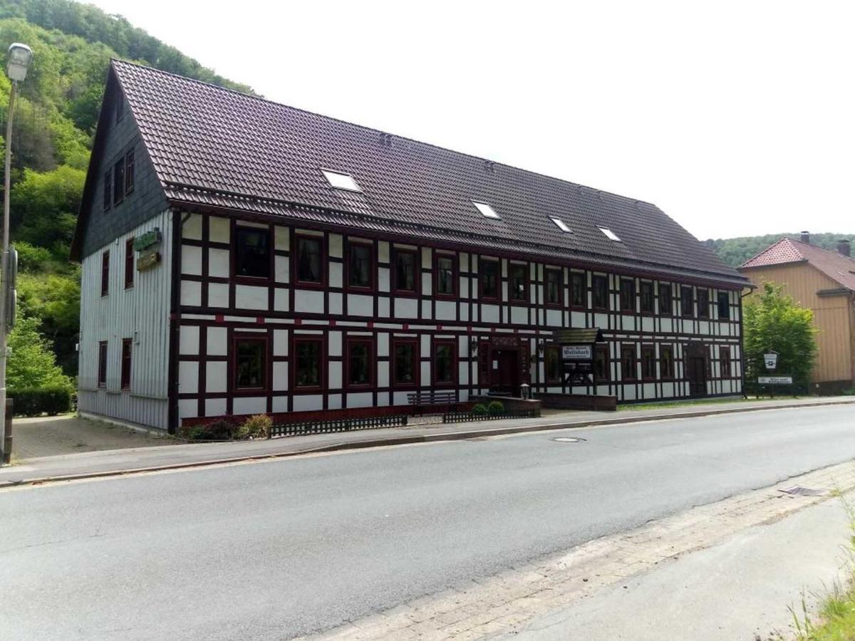 Haus Am Wolfsbach Apartment Zorge Luaran gambar