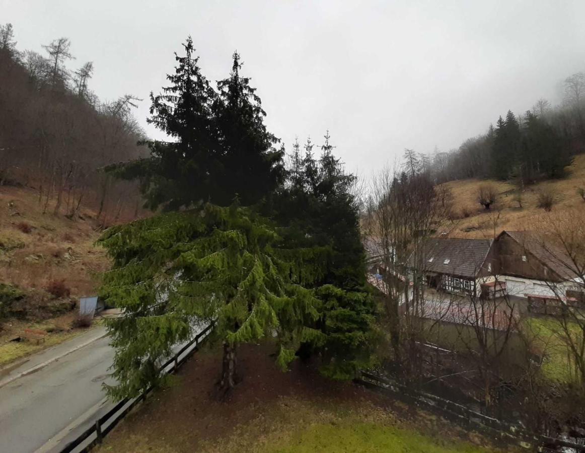 Haus Am Wolfsbach Apartment Zorge Luaran gambar